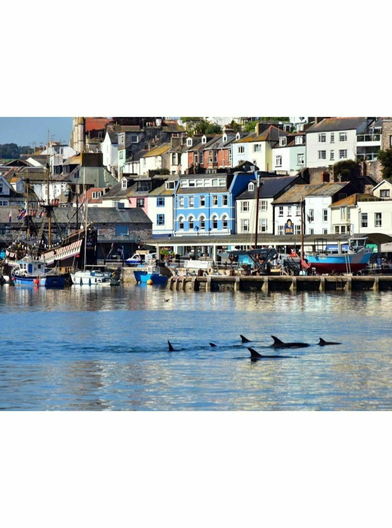 Trelawney Hotel - Guest House Torquay Exterior photo